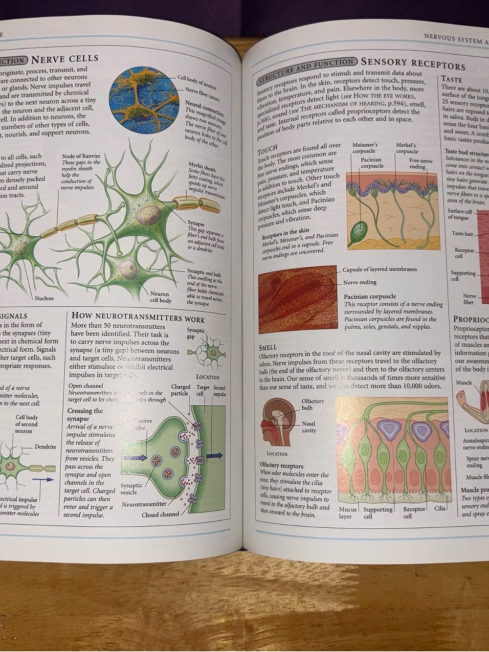 Complete Home Medical Guide Book - Picture 6 of 6